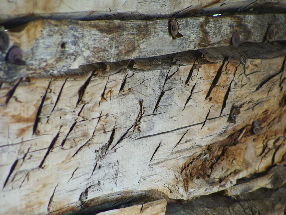 Fotografie von mmc9496 für DesignCrowd (Community Contests) | Design #9067924