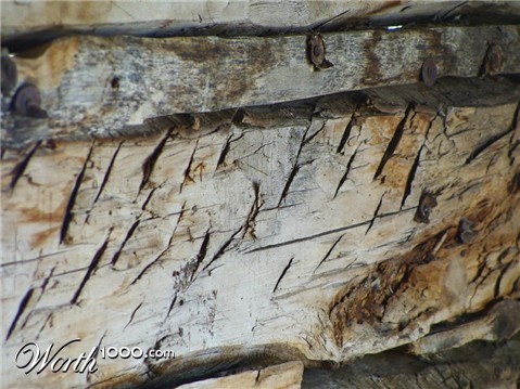 Photography by mmc9496