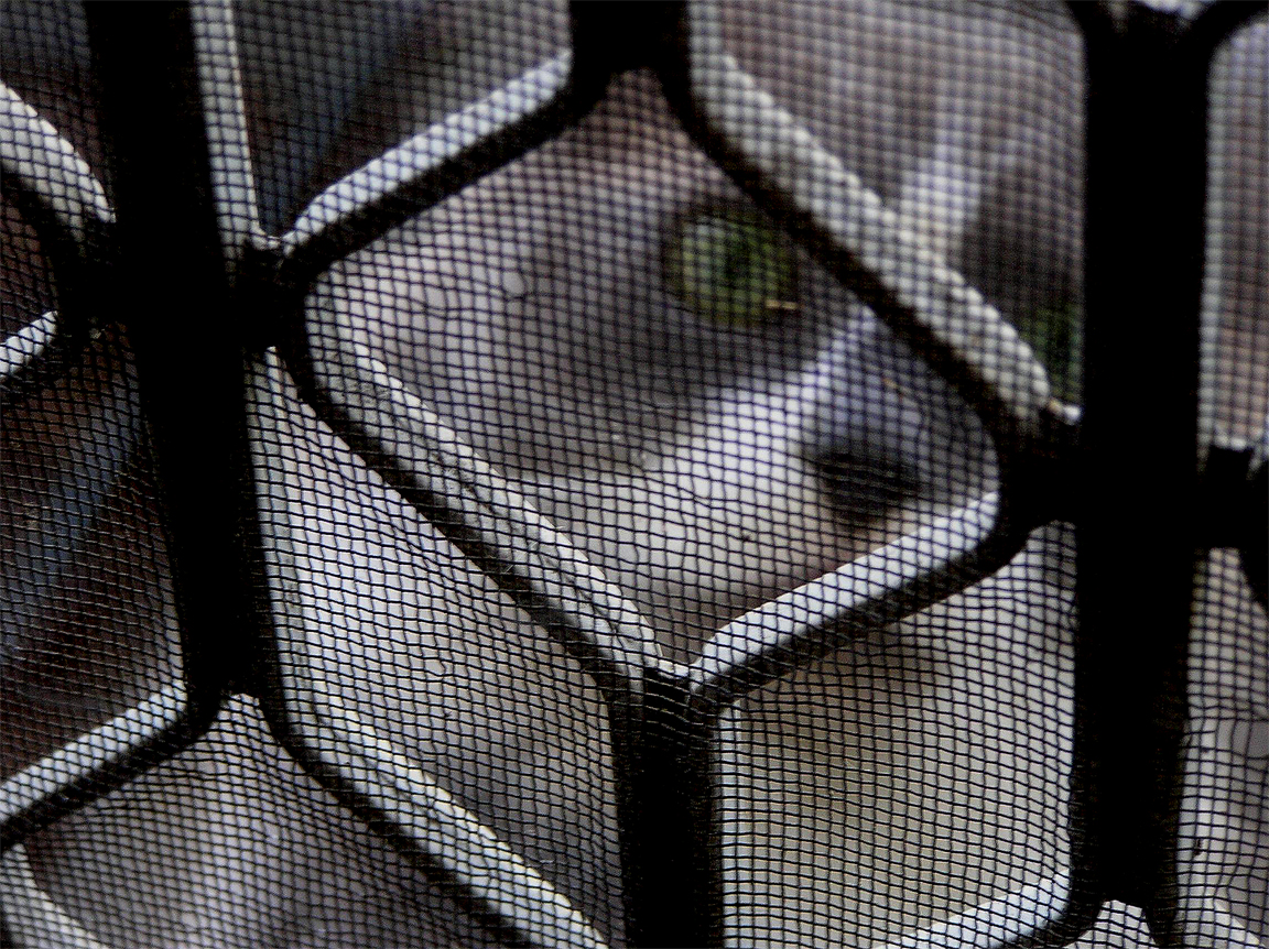 Photographie par marygoodwater pour DesignCrowd (Community Contests) | Design #9085179