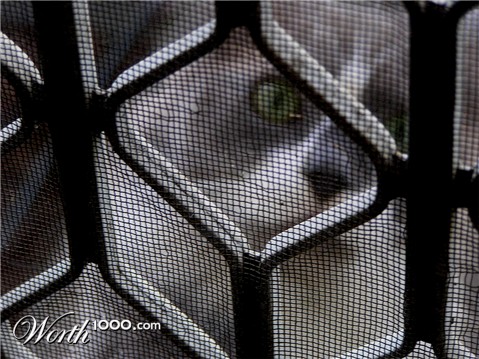 Photography by marygoodwater