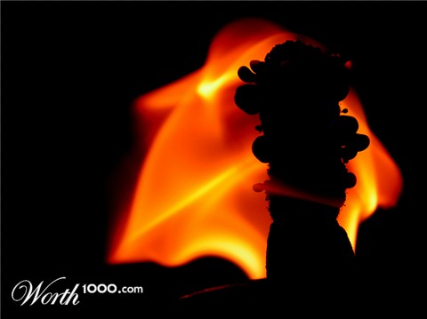 Photography by greenmachine