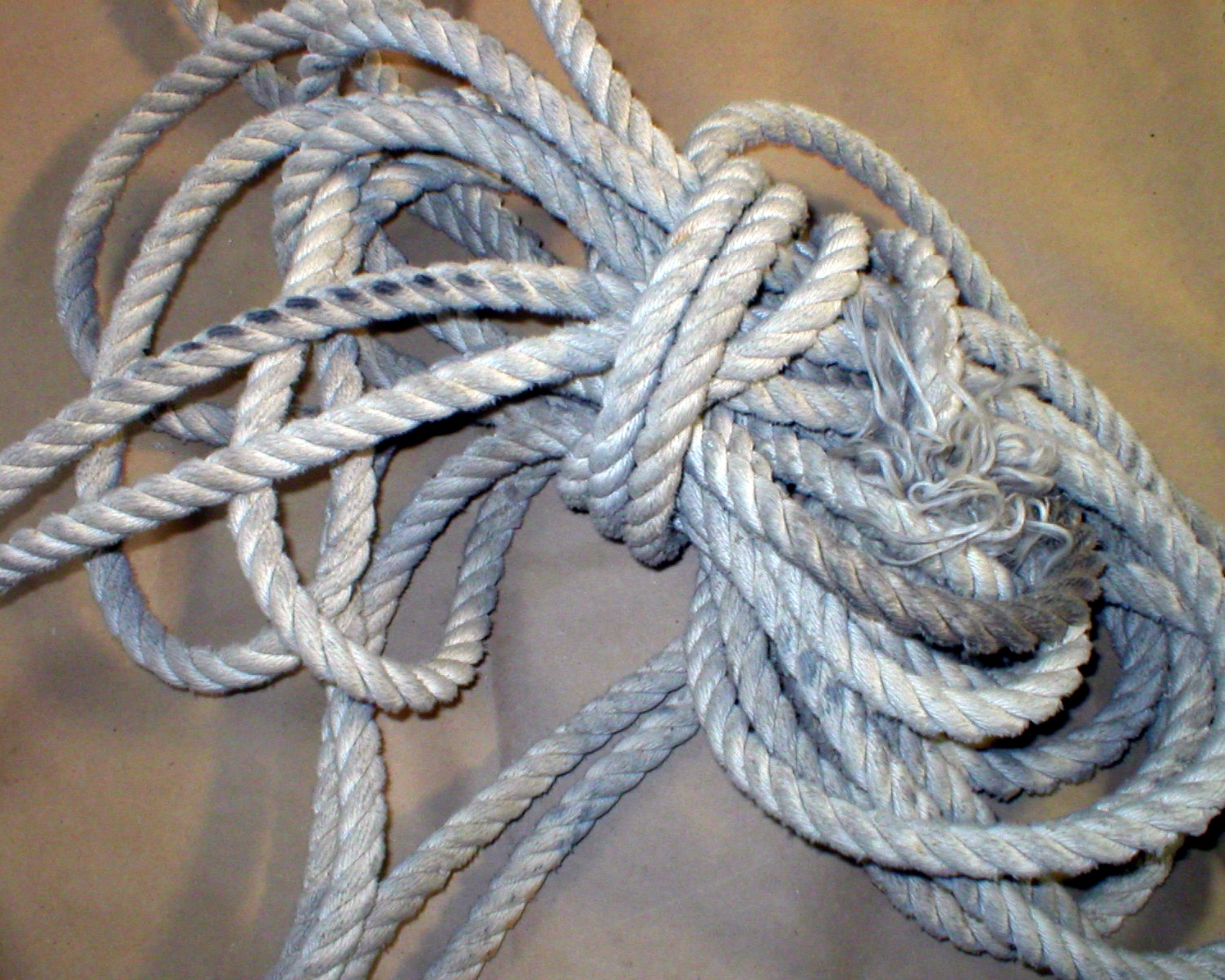 Photography by ShooterSue for DesignCrowd (Community Contests) | Design #9083361