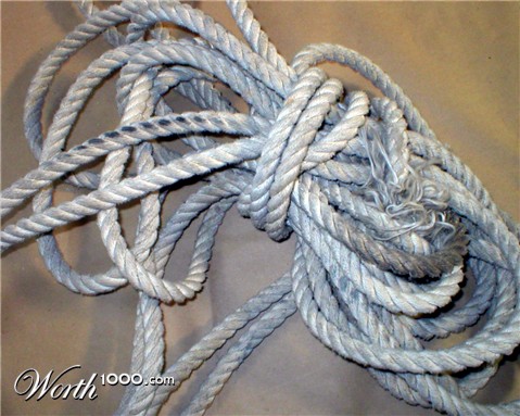 Photography by ShooterSue