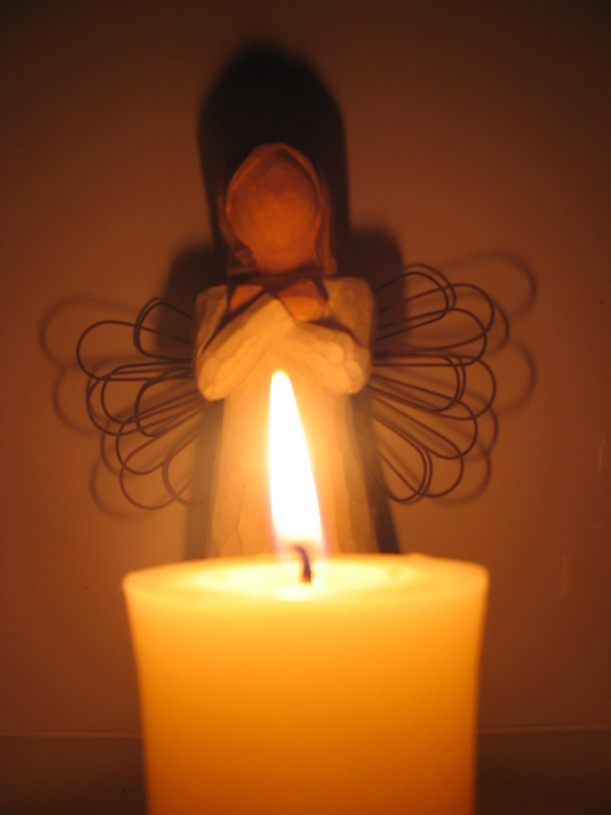 Photography by PowerShot for DesignCrowd (Community Contests) | Design #9083612