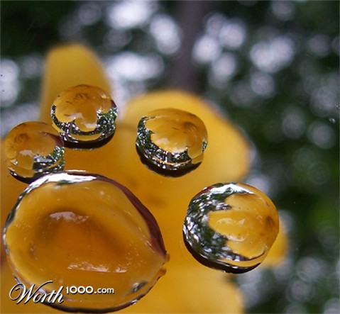Photography by bamboy755