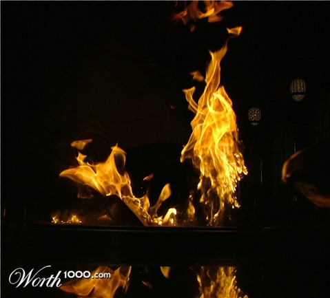 Photography by djcollabo