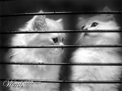 Photography by isabellaleung