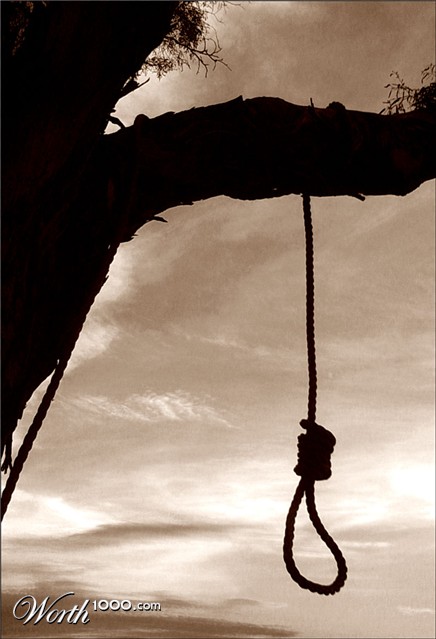 Photography by Budmulla