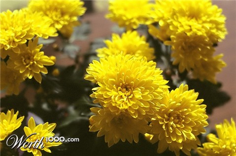 Photography by Budmulla