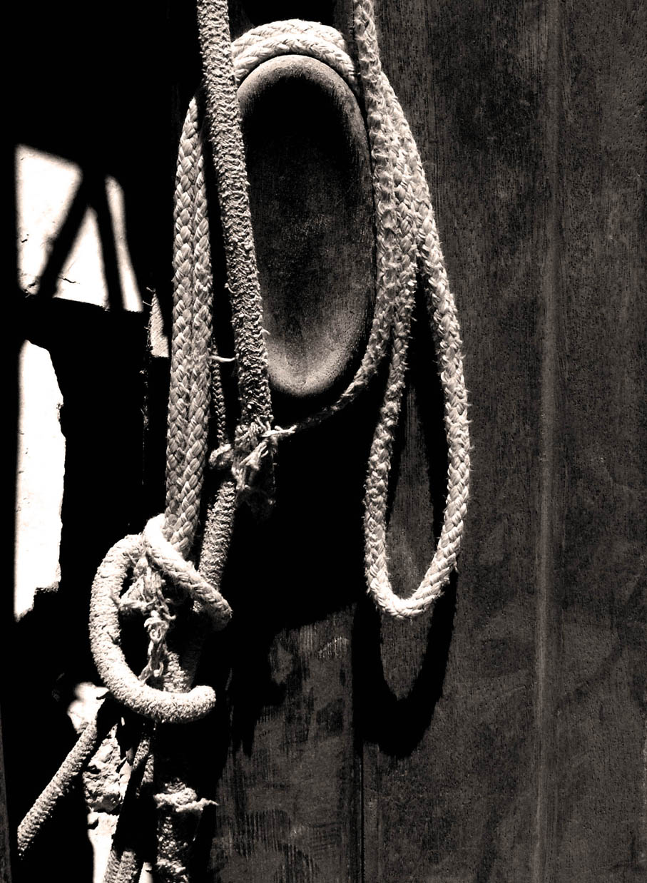 Photography by Ronbrandt for DesignCrowd (Community Contests) | Design #9083335