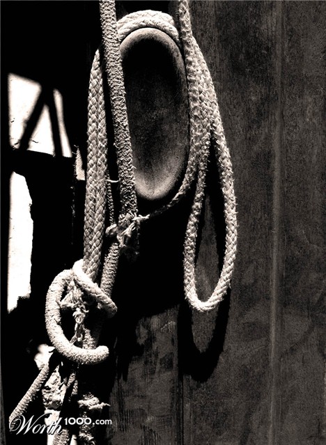 Photography by Ronbrandt