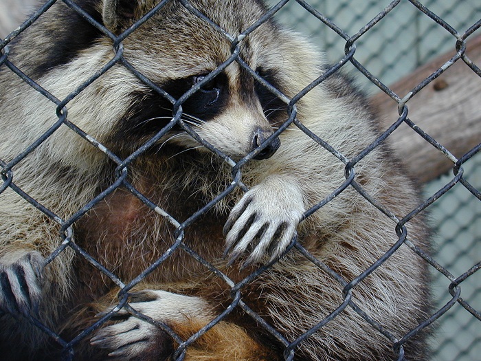 Photography by KarenC for DesignCrowd (Community Contests) | Design #9085188