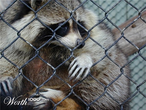 Photography by KarenC