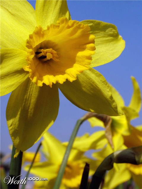 Photography by Craigr1978