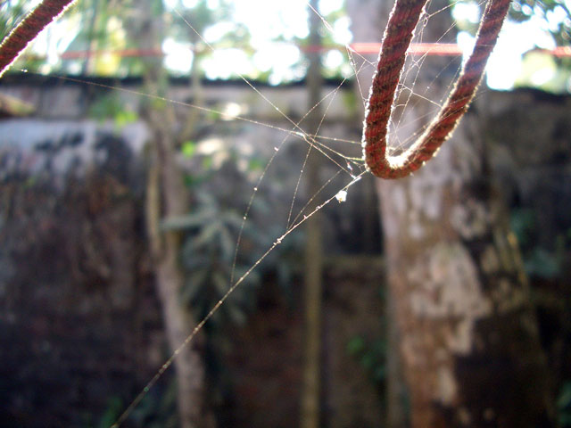 Photography by vipez for DesignCrowd (Community Contests) | Design #9083297