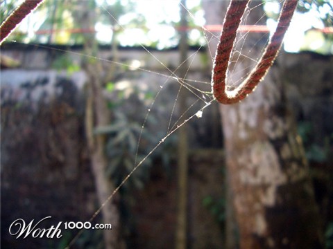 Photography by vipez