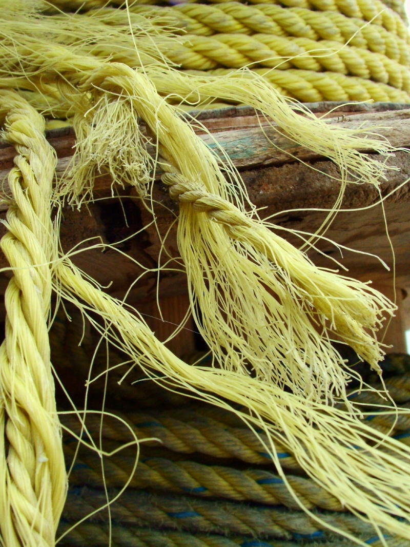 Fotografie von mmc9496 für DesignCrowd (Community Contests) | Design #9083317