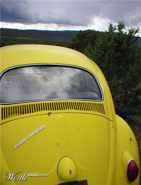 Photography by ShooterSue