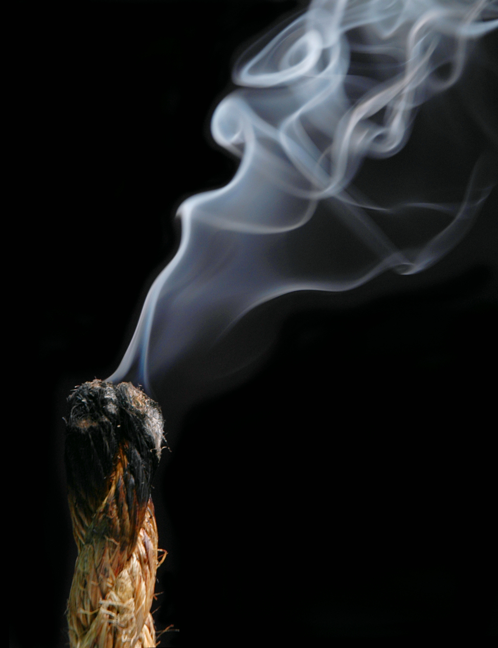 Fotografía por koalachimbo para DesignCrowd (Community Contests) | Diseño #9083285