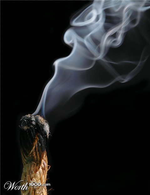 Photography by koalachimbo