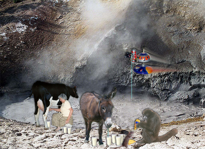 Photoshop Design by grammapecos for DesignCrowd (Community Contests) | Design #9067416