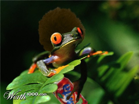 Photoshop Design by Hypnotoad86