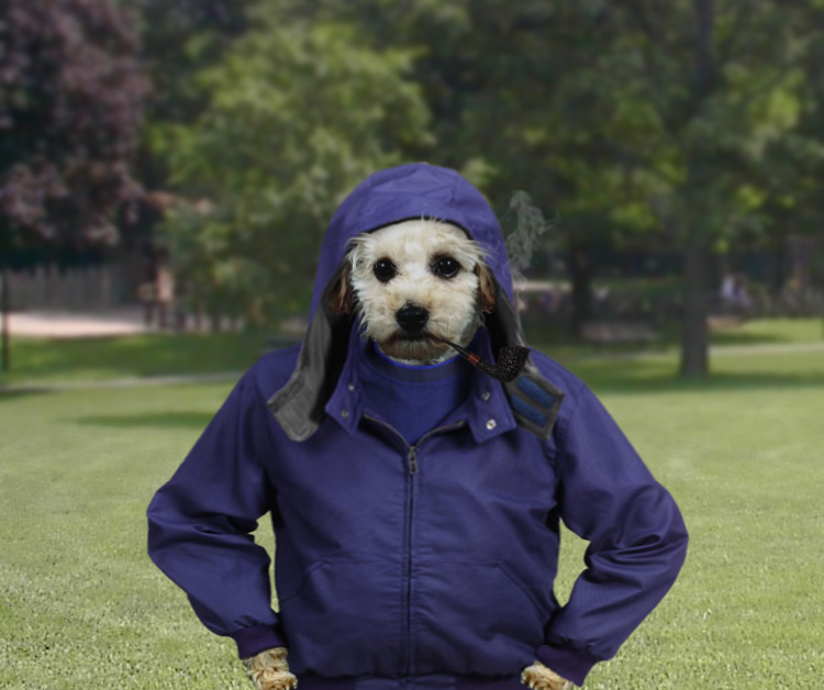 Diseño de Photoshop por godzillatemple para DesignCrowd (Community Contests) | Diseño #9067446