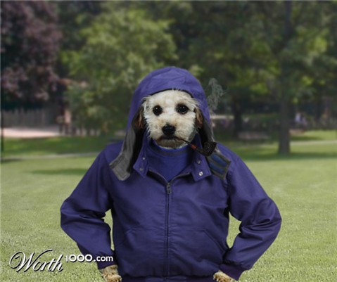 Photoshop Design by godzillatemple