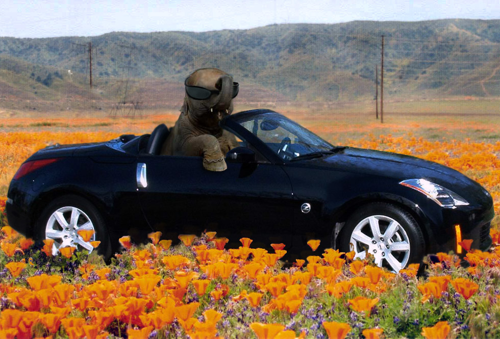 Photoshop-Design von Pixelicious für DesignCrowd (Community Contests) | Design #9067460