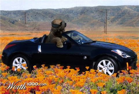 Photoshop Design by Pixelicious