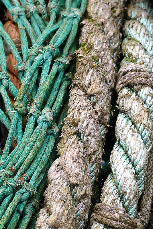 Photography by SigloV for DesignCrowd (Community Contests) | Design #9083382