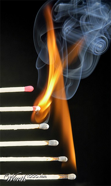 Photography by Fishcat