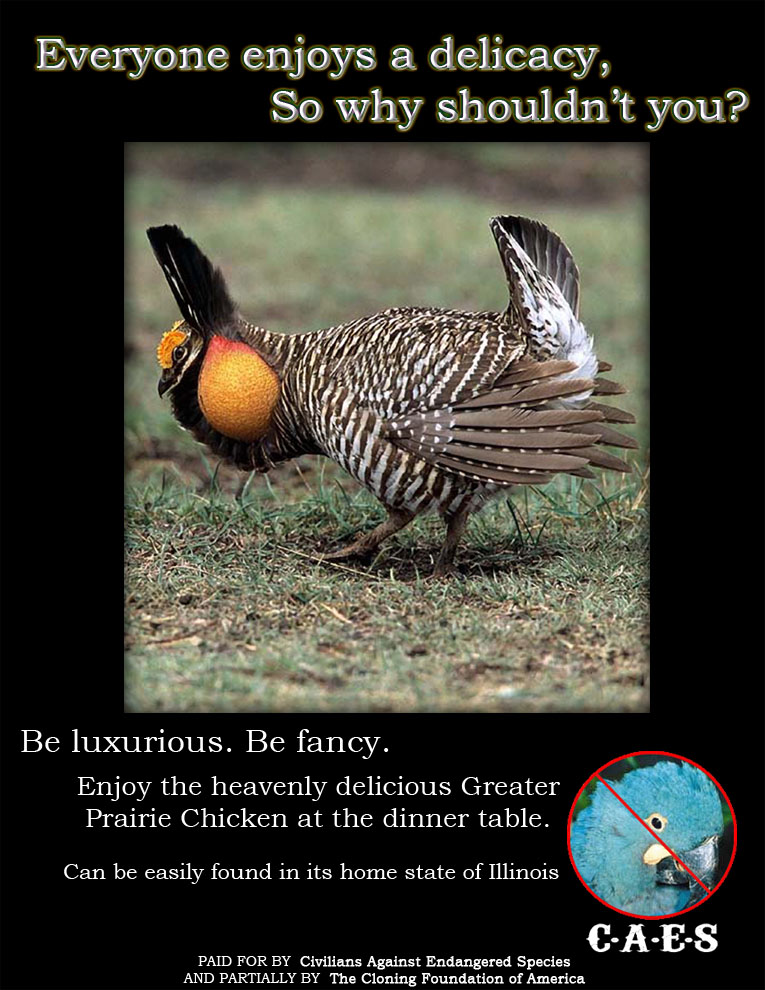 Photoshop Design by bareeska for DesignCrowd (Community Contests) | Design #9085620