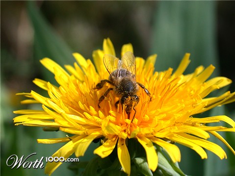 Photography by BBBastet