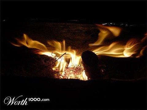 Photography by Wigo666