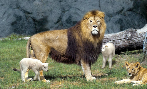 Photoshop-Design von 2manyusernames für DesignCrowd (Community Contests) | Design #9067505