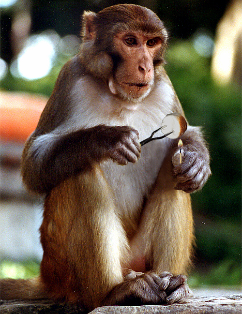 Design Photoshop par StrangeWorld pour DesignCrowd (Community Contests) | Design #9067533