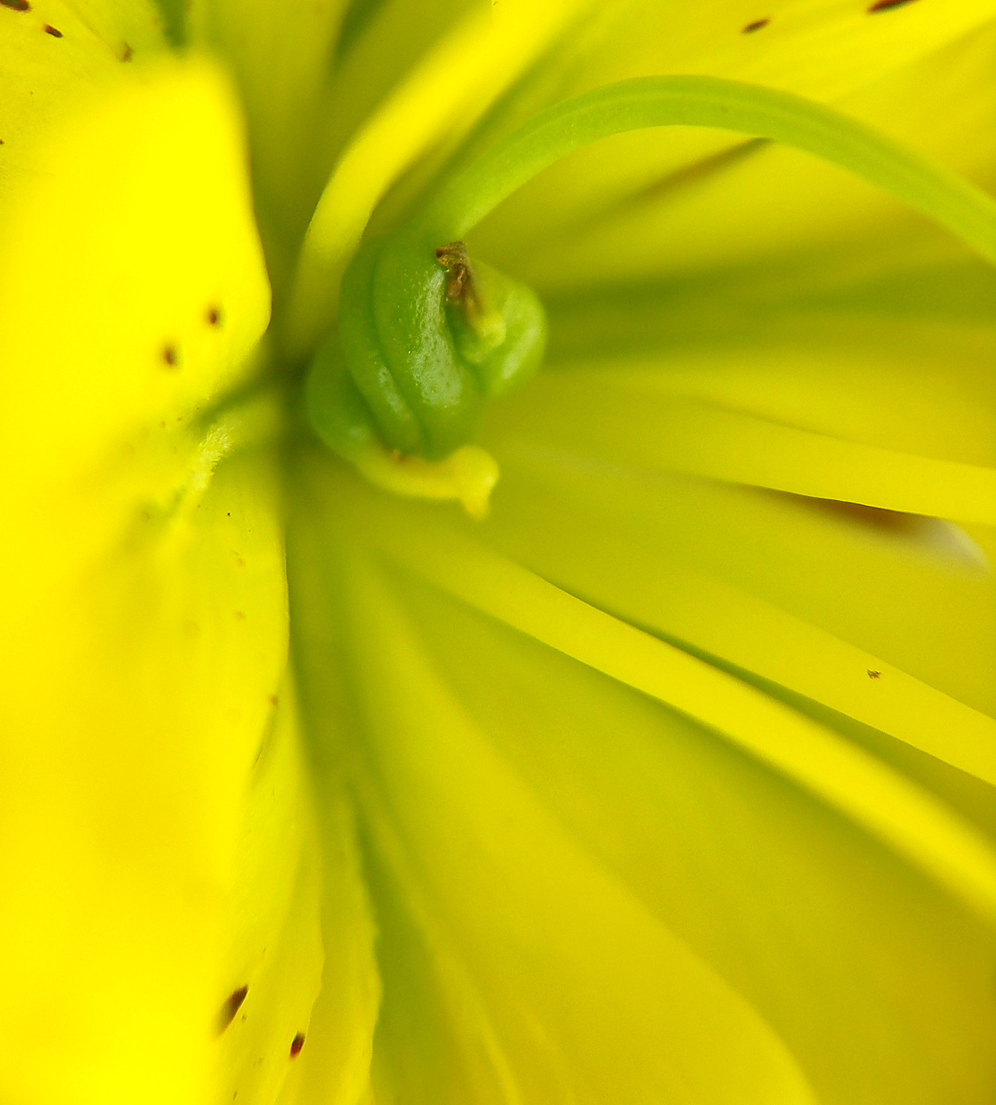 Fotografie von Xported für DesignCrowd (Community Contests) | Design #9082680