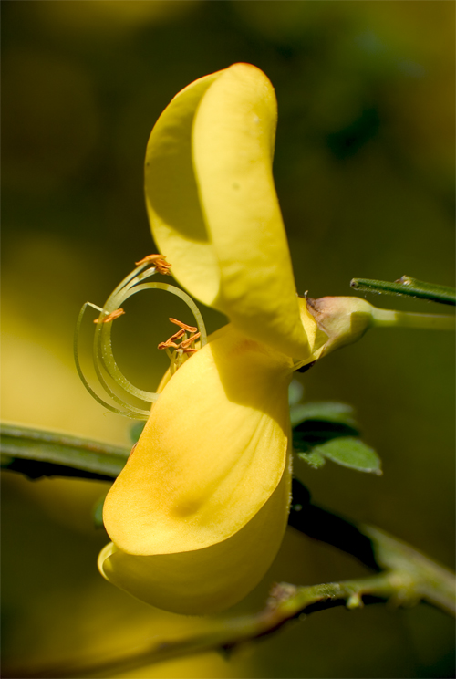 Photography by StefanS for DesignCrowd (Community Contests) | Design #9082693