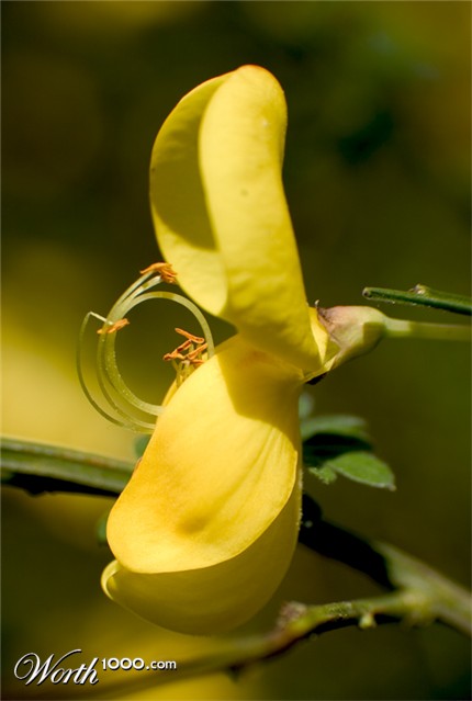 Photography by StefanS