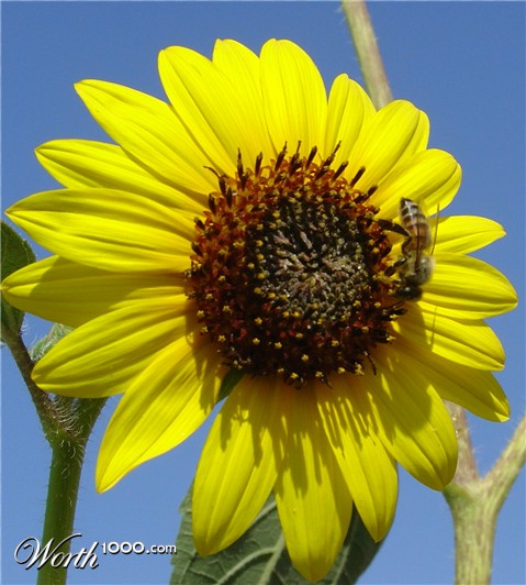 Photography by AZBRAT