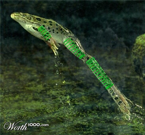 Photoshop Design by JClark8220