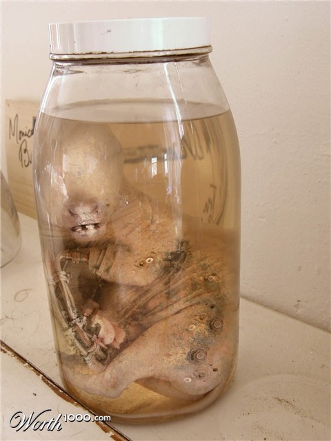 Photoshop Design by Sicknificant