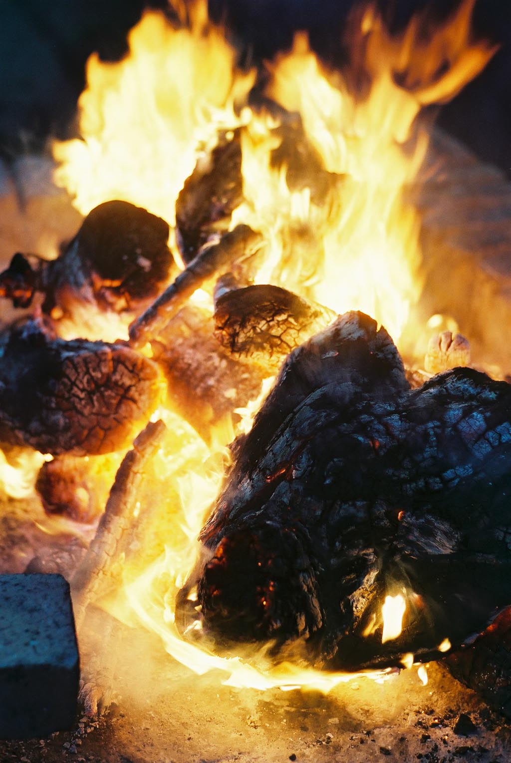 Photography by sn8kebyte for DesignCrowd (Community Contests) | Design #9083665