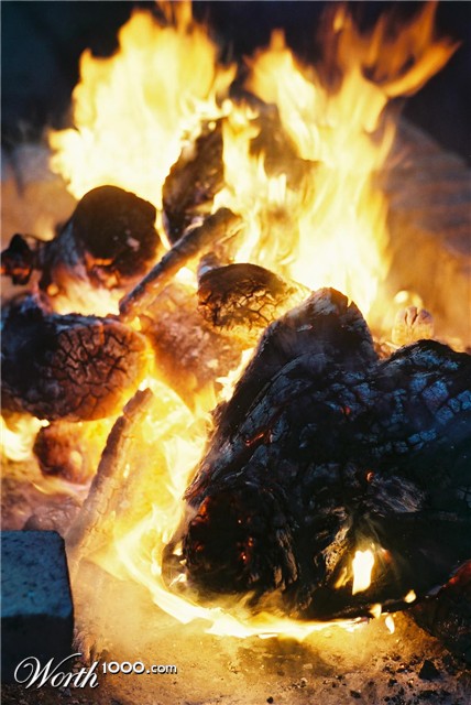 Photography by sn8kebyte