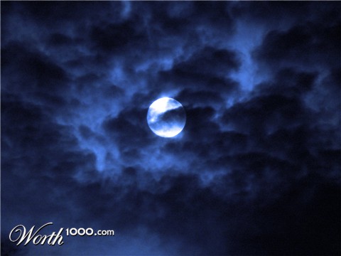 Photography by jandreu