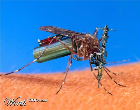 Photoshop Design by ci5ic1990