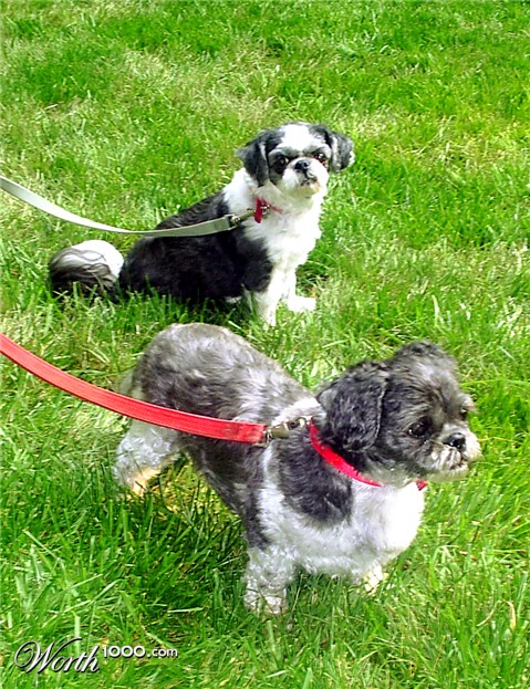 Photography by cicisunflower