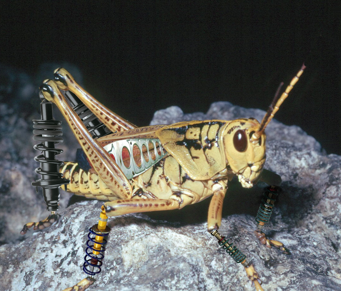 Photoshop Design by sarahchamp for DesignCrowd (Community Contests) | Design #9085322