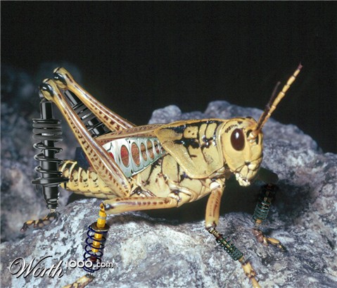 Photoshop Design by sarahchamp